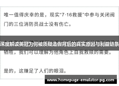 深度解读英冠为何被质疑造假背后的真实原因与利益链条
