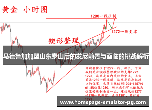 马德鲁加加盟山东泰山后的发展前景与面临的挑战解析