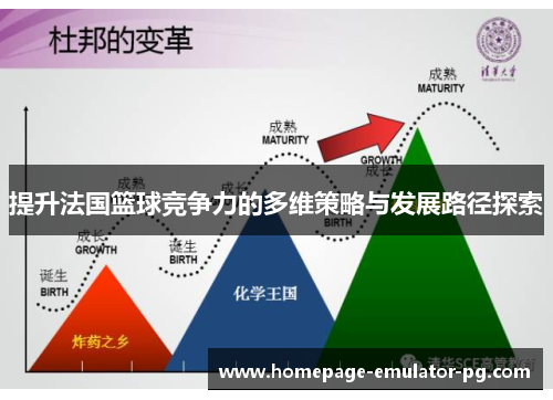 提升法国篮球竞争力的多维策略与发展路径探索 提升法国篮球竞争力的多维策略与发展路径探索