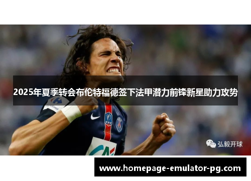 2025年夏季转会布伦特福德签下法甲潜力前锋新星助力攻势 2025年夏季转会布伦特福德签下法甲潜力前锋新星助力攻势