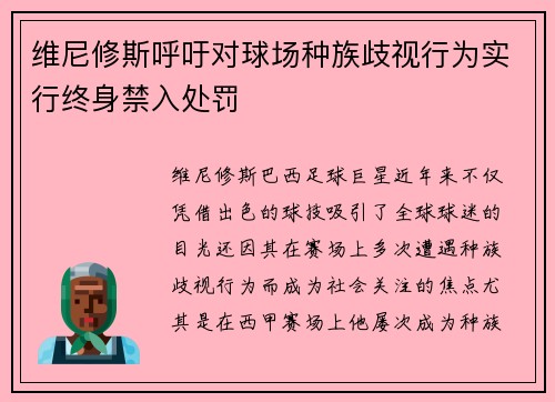 维尼修斯呼吁对球场种族歧视行为实行终身禁入处罚